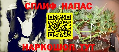 тгк Камышлов