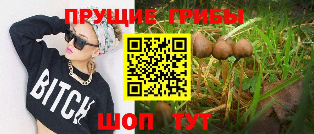 Галлюциногенные грибы GOLDEN TEACHER  Псилоцибиновые грибы прущие грибы  Киров  Вход с VPN 