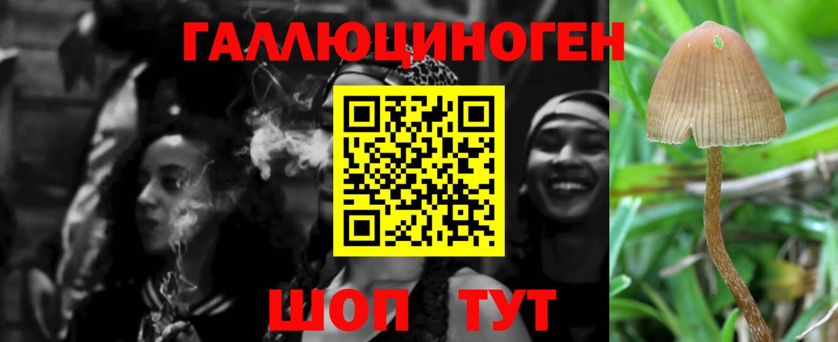 Псилоцибиновые грибы MAGIC MUSHROOMS Киров